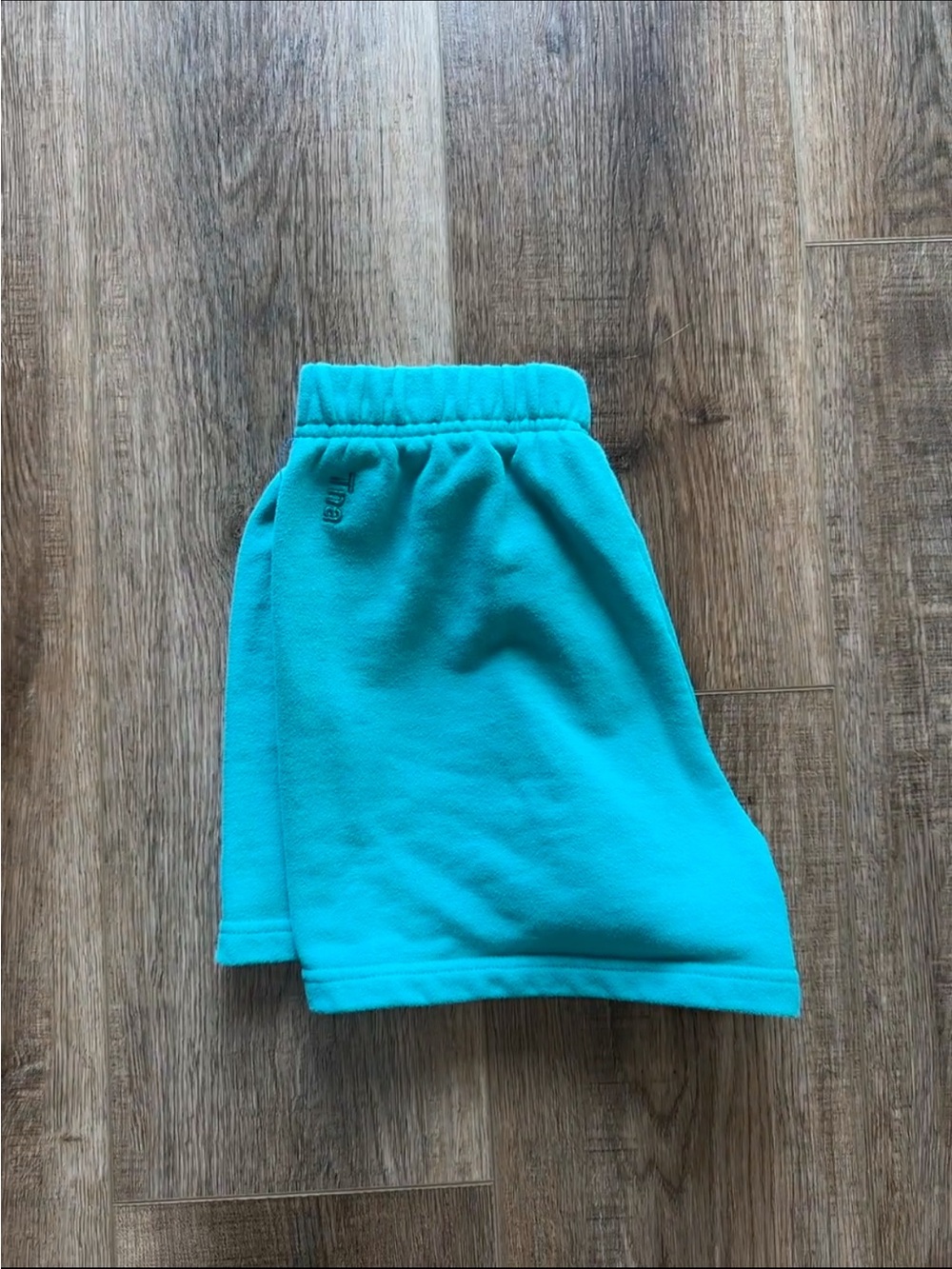 Aritzia TNA Terry Fleece Perfect Shorts in Teal